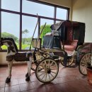 바하캘리포니아 이미지