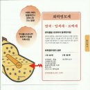 퀸즈헤나 이미지