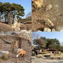 댕스포유 | 청주 데이트 코스 청주랜드 동물원 먹거리 입장료 대전 근교 여행
