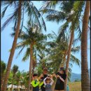 올인원투어 이미지