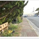 제주락 | 서귀포펜션, 산책로가 너무나 황홀했던 제주락 후기