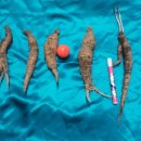 도마1리 이미지