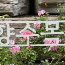 솔향수목원(제3주차장) 이미지