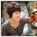 박선자김치간장게장 네이버블로그