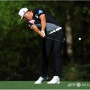 아이티스크린골프 이미지