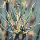 추경농장 이미지