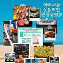 매일관광(주) | 에어서울 요나고 관광설명회 돗토리현 매일운항