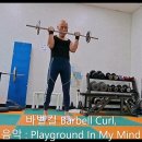 바벨컬 Barbell Curl 이미지