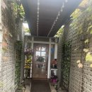 장가네더덕밥 | [맛집] 춘천 장가네더덕밥 후기/한식추천