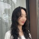 본모발