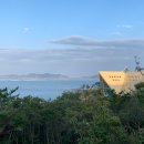 바다의 숲속 이미지