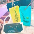 태풍카센타 이미지