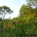 덕진-133 이미지