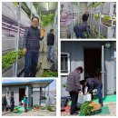 신흥3농장 이미지