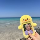 현진기획 인쇄 | 𝓢𝓽𝓻𝓪𝔂𝓴𝓲𝓭𝓼 𝓲𝓼 𝓫𝓪𝓬𝓴 (스키즈 매직스쿨 팬미팅 후기)