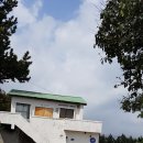 볼스프로덕션 | 제주 서귀포 카페 베이커리 볼스프로덕션 방문후기