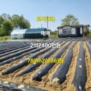 김찬범농장 네이버블로그