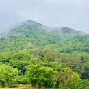 시화리라유치원 | 2026 시화리라유치원 - 숲체험 견학
