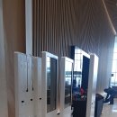 수원-2031 이미지