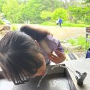 태학산약수 이미지