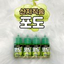 포도랩