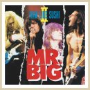 [3428] Mr.Big - Shine 이미지