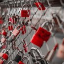 농업회사법인주식회사다알 이미지