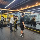 드래곤복싱클럽 백마점 이미지