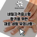 미용사(네일) 자격증 실기 Daum카페