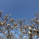 안나모자원 이미지