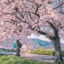 다비치안경 구리교문점 이미지