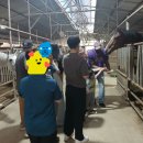 충무승마장