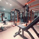 브이아이핏 이미지