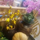 하단동1218 이미지