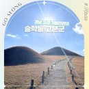 경남 고성 가볼만한곳 송학동 고분군 뚜벅이 여행 추천
