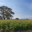 고하농장 이미지