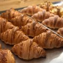 그레그커피 이미지