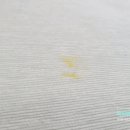 서울세탁소 이미지