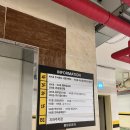 용연로 | 아산 탕정 배방 냉삼 맛집 골목냉삼 냉삼 후기