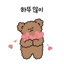 멍냥쁘띠끄 네이버블로그