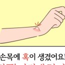 경희자연채한의원 이미지