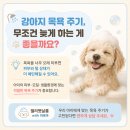 젤리펫살롱 with 아로마 네이버블로그