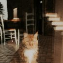 메인쿤 하우스 이미지