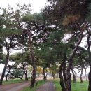 탑지 생태공원 이미지