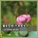 불로장생 - 거제시 | 불로장생