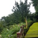 당구장 가는길 이미지