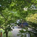 김삿갓면-9 | 9월 나조스트캠핑장 N1 사이트 캠핑