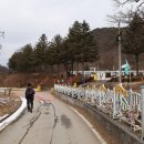 소백산자락길 제5코스 Daum카페