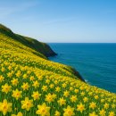 개간지천 이미지