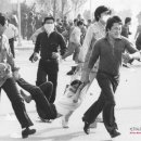 평범식당 이미지